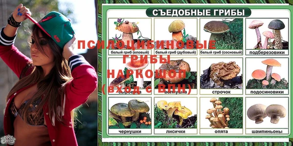 ALPHA PVP Бугульма