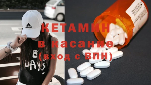 индика Бородино