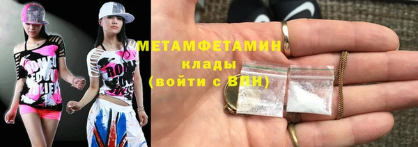 индика Бородино