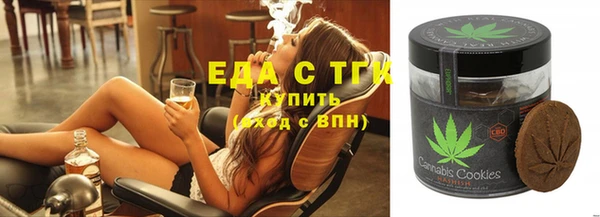 индика Бородино