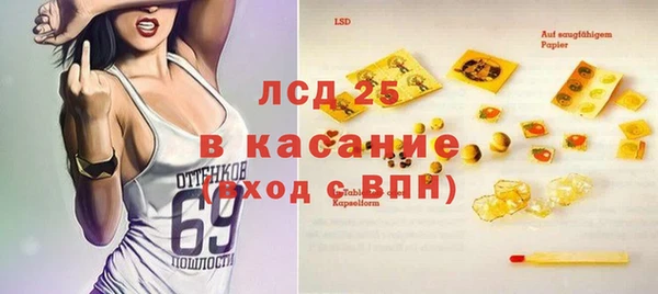 индика Бородино