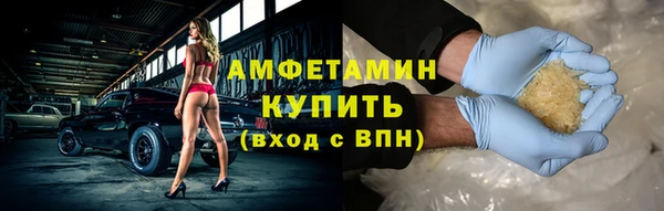 индика Бородино