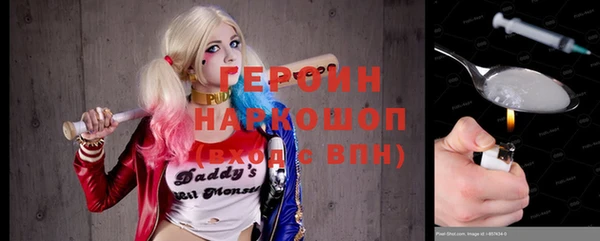 индика Бородино