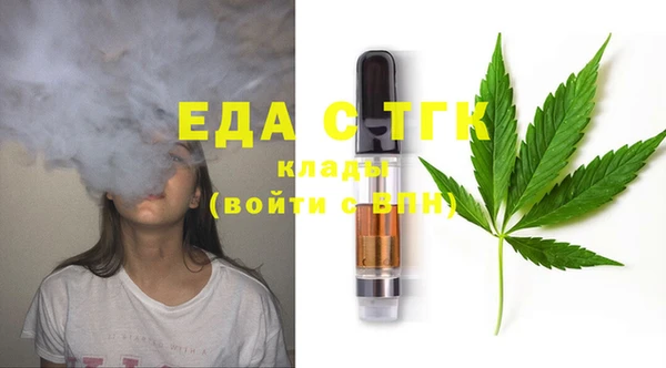 индика Бородино