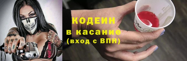 индика Бородино