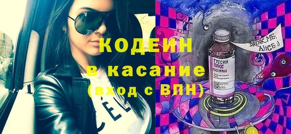 индика Бородино