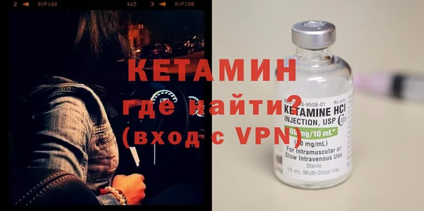 индика Бородино