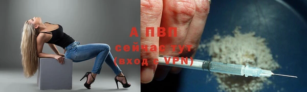индика Бородино
