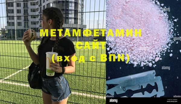 индика Бородино