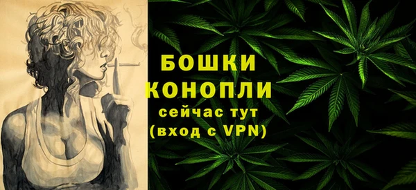 индика Бородино