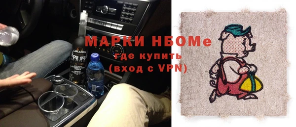 индика Бородино