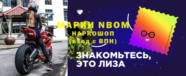 индика Бородино