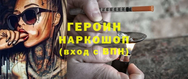 индика Бородино