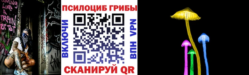 купить наркотики сайты  Шахты  Псилоцибиновые грибы Cubensis 